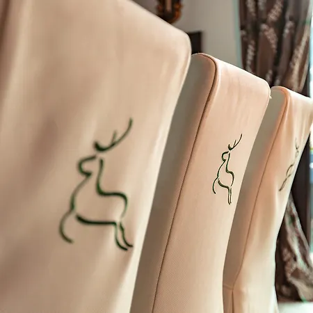 بنسيون ياغا هياس