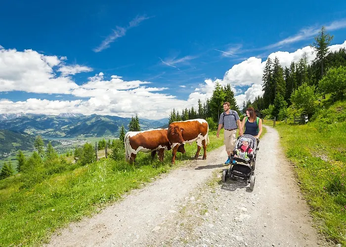 Jaga Hias Vendégház 3*